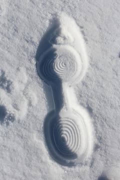 Verlorene Spur im Schnee, auf dem Bramboden. (Bild: Josef Habermacher)