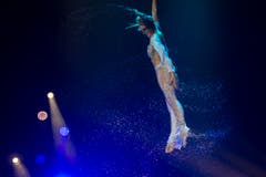 SCHWEIZ CIRCUS KNIE "FORMITABLE" (Bild: Keystone)
