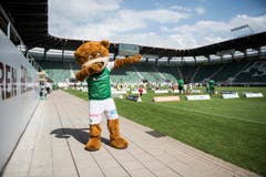 Bärenbande im Kybunpark: 250 Kinder dürfen mit Spielern des FCSG trainieren (Bild: Sabrina Stübi)