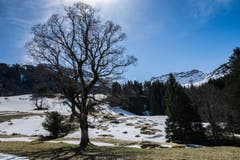 (Bild: Claudio Weder)