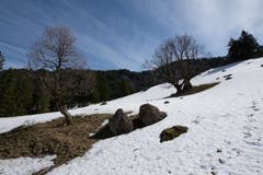(Bild: Claudio Weder)