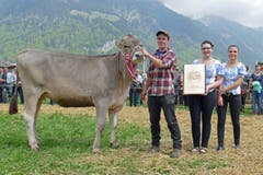 Lorenz Hess mit «Annika» aus dem Stall von Kaspar Scheuber, welche Rinderchampion der Jubiläumsschau wurde. (Bild: beat christen)