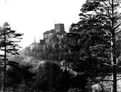 Eine alte Fotografie des Schlosses vor dem Rückbau 1972. (Bild: (Bürgerarchiv Weinfelden))