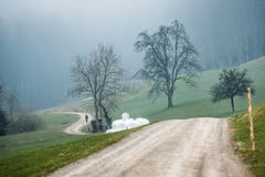 (Bild: Christian Regg)