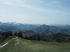 Bild: Katharina Brenner