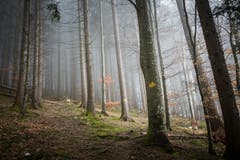 (Bild: Christian Regg)