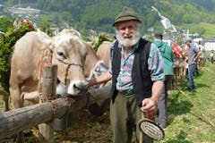 Das Jubiläum war ein bunter Querschnitt durch 100 Jahre Viehzucht in Engelberg. (Bild: Beat Christen)