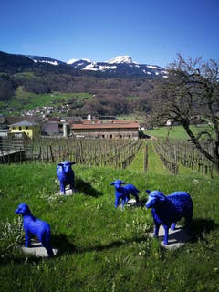 (Bild: Arcangelo Balsamo)