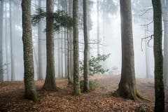 (Bild: Christian Regg)