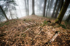 (Bild: Christian Regg)