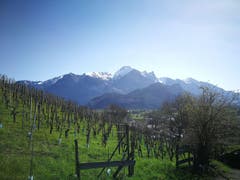 (Bild: Arcangelo Balsamo)
