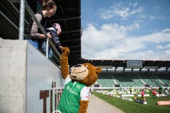 Bärenbande im Kybunpark: 250 Kinder dürfen mit Spielern des FCSG trainieren (Bild: Sabrina Stübi)