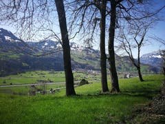 (Bild: Arcangelo Balsamo)