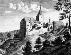 Alter Kuperstich des Schlosses. Es zeigt das Anwesen wie es etwa um 1740 aussah. (Bild: (Bürgerarchiv Weinfelden))