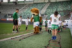 Bärenbande im Kybunpark: 250 Kinder dürfen mit Spielern des FCSG trainieren (Bild: Sabrina Stübi)