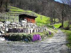 (Bild: Arcangelo Balsamo)
