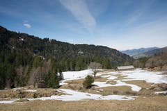 (Bild: Claudio Weder)