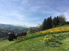 (Bild: Martin Rechsteiner)