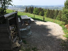 (Bild: Martin Rechsteiner)