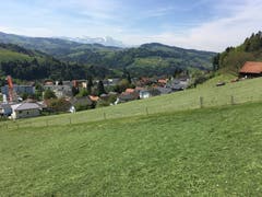 (Bild: Martin Rechsteiner)