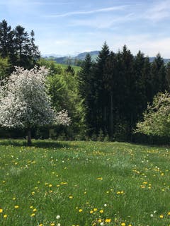 (Bild: Martin Rechsteiner)