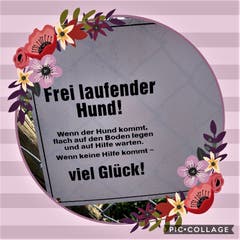 "Nur wo man zu Fuss war, war man auch wirklich"! Natürlich gehören da manchmal "bissige Begegnungen" dazu, aber so ein Ratschlag vom Hundebesitzer kann ja unter Umständen Gold wert sein. Bild: Margrith Imhof-Röthlin