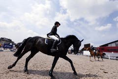 Bild: Werner Schelbert (Zug, 19. Mai 2018)