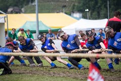 Bild: Manuela Jans-Koch (Stans, 19. Mai 2018)