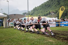 Bild: Manuela Jans-Koch (Stans, 19. Mai 2018)