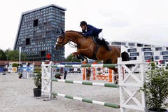 Bild: Werner Schelbert (Zug, 19. Mai 2018)