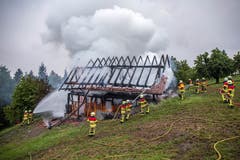 Dank dem Einsatz der Freiwilligen Feuerwehr Zug war der Brand rasch gelöscht. (Bild: Freiwillige Feuerwehr Stadt Zug)