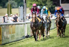 Frauenfeld TG - Impressionen vom Grossen Pfingstrenntag 2018 in Frauenfeld. Im Bild: der Grosse Preis der Thurgauer Kantonalbank, 86. Grosses Flachrennen am Pfingstmontag; es gewinnt Milan Zatloukal auf Samurai (Nummer 2, pinker Helm).