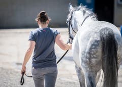 Frauenfeld TG - Impressionen vom Grossen Pfingstrenntag 2018 in Frauenfeld.
