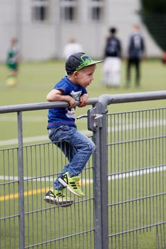 Ein buchstäblicher Zaungast verfolgt die Spiele in Steinhausen. (Bild: Stefan Kaiser, 19. Mai 2018)