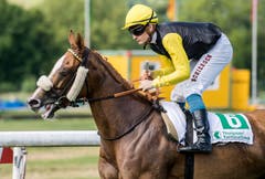 Frauenfeld TG - Impressionen vom Grossen Pfingstrenntag 2018 in Frauenfeld. Im Bild: der der Grosse Preis der Thurgauer Kantonalbank, 86. Grosses Flachrennen am Pfingstmontag.
