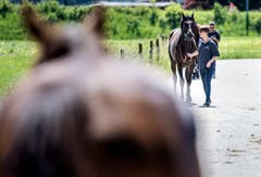 Frauenfeld TG - Impressionen vom Grossen Pfingstrenntag 2018 in Frauenfeld.