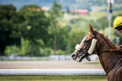 Frauenfeld TG - Impressionen vom Grossen Pfingstrenntag 2018 in Frauenfeld. Im Bild: der der Grosse Preis der Thurgauer Kantonalbank, 86. Grosses Flachrennen am Pfingstmontag.