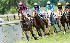 Frauenfeld TG - Impressionen vom Grossen Pfingstrenntag 2018 in Frauenfeld. Im Bild: der Grosse Preis der Thurgauer Kantonalbank, 86. Grosses Flachrennen am Pfingstmontag; es gewinnt Milan Zatloukal auf Samurai (Nummer 2, pinker Helm).