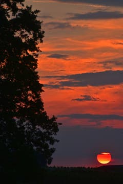 Sonnenuntergang in Uttwil vom 18. Mai 2018, (Bild:Lena Bruderer)
