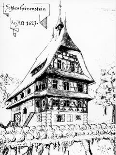 Das alte Schloss Geissenstein, das nach 1623 dem späteren Freihof Geissenstein weichen musste. (Bild: PD)