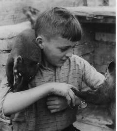 Walter Mauerhofer junior mit Nasenbär und Äffchen Jimmy. (Bild: PD, 1960)