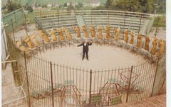 Die erste Raubtiershow in der Arena des Plättli-Zoo. (Bild: PD, frühe 1970er-Jahre)