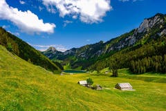 Im Frühling hat der Sämtisersee mehr Wasser als sonst. (Bild: Luciano Pau)