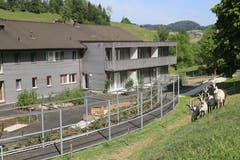 Auch Tiere sind rund um die "Hofwis" zu finden (Bild: PD)