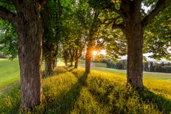 Was für ein fantastischer Abend im warmen Licht der Sonne. (Bild: Marc Bollhalder)
