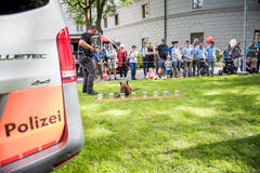 Der Polizeispürhund erschnüffelt Drogen. Bild: Roger Grütter