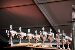 Eindrücke des Kantonalen Musiktags 2018 in Eschenbach. (Bild: David Avolio)