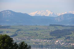 Nottwil, mit Rosen-, Mittel- und Wetterhorn am Horizont. (Bild: Josef Habermacher)