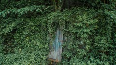 Eine geheimnisvolle Tür. Wohin führt sie, was liegt dahinter? (Bild: Regula Aeppli)