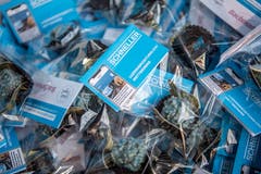 «Schutzengeli» der Confiserie Bachmann liegen in einem Korb bereit. (Bild: Pius Amrein, 30. Mai 2018)